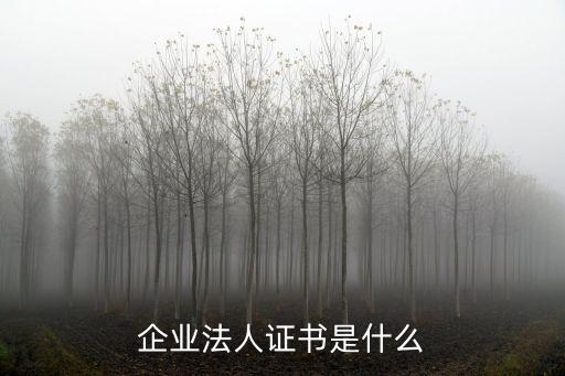 企業法人證書是什么