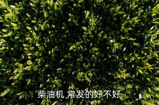 柴油機 常發的好不好