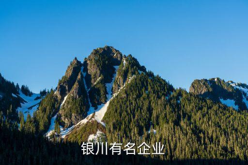 銀川有名企業