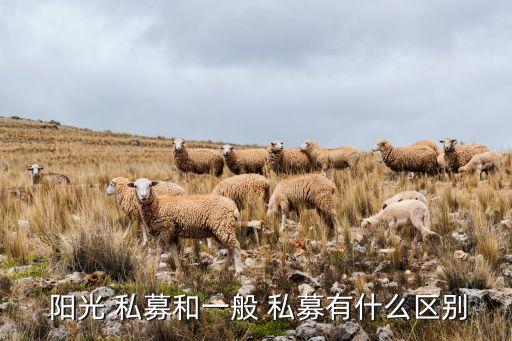  陽光 私募和一般 私募有什么區別