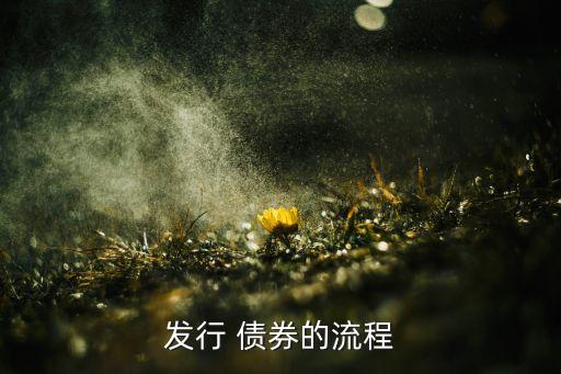 發行 債券的流程
