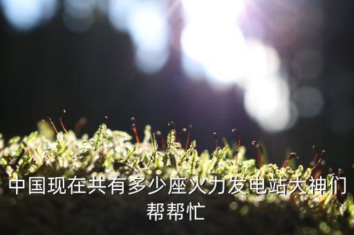 中國現在共有多少座火力發電站大神們幫幫忙