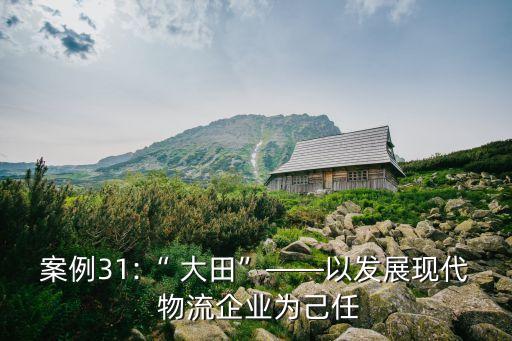 案例31:“ 大田”——以發展現代 物流企業為己任