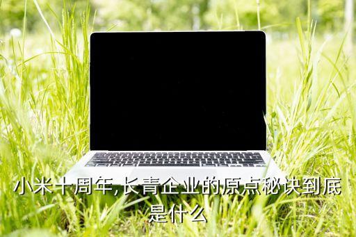小米十周年,長青企業的原點秘訣到底是什么
