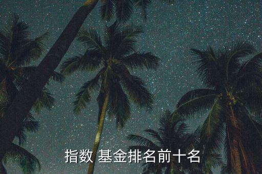  指數 基金排名前十名