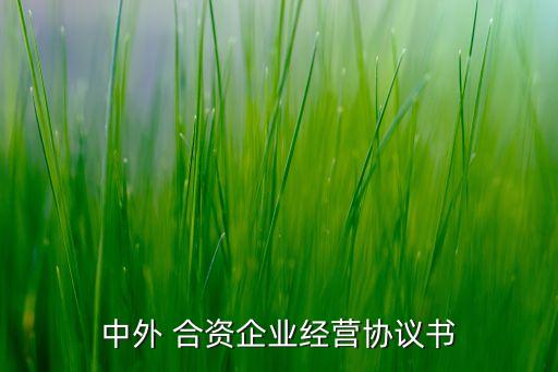 中外 合資企業經營協議書