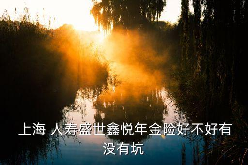 上海人壽外幣業務