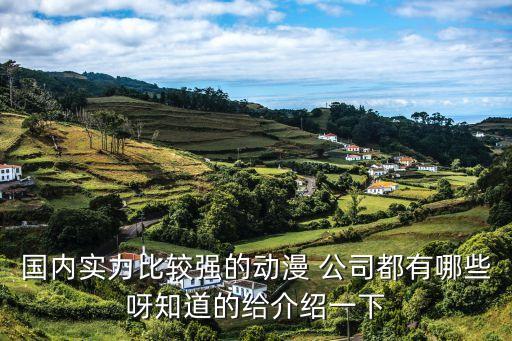 國內(nèi)實(shí)力比較強(qiáng)的動(dòng)漫 公司都有哪些呀知道的給介紹一下