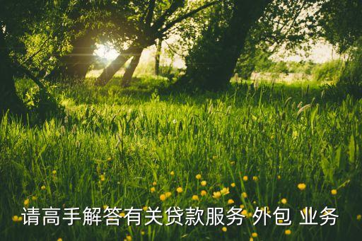 請高手解答有關貸款服務 外包 業務
