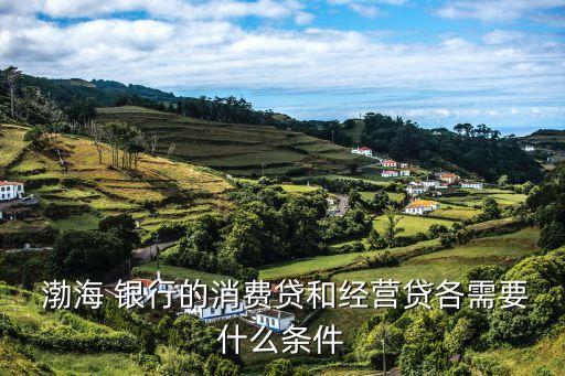  渤海 銀行的消費貸和經營貸各需要什么條件