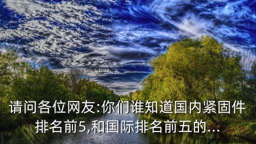 請問各位網友:你們誰知道國內緊固件排名前5,和國際排名前五的...