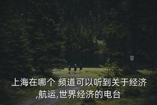  上海在哪個 頻道可以聽到關于經濟,航運,世界經濟的電臺