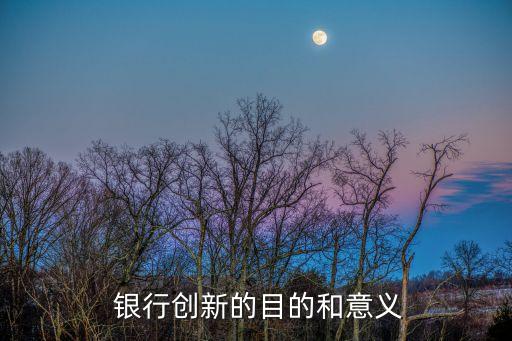  銀行創新的目的和意義