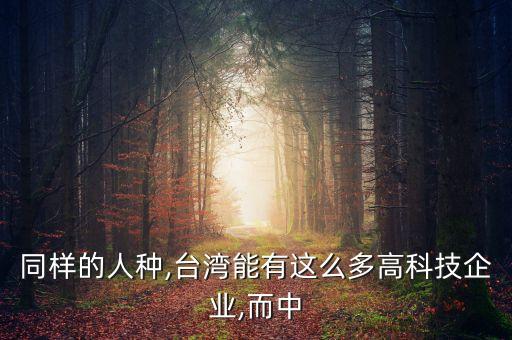 同樣的人種,臺灣能有這么多高科技企業,而中
