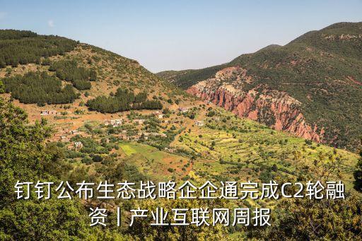 釘釘公布生態戰略企企通完成C2輪融資丨產業互聯網周報