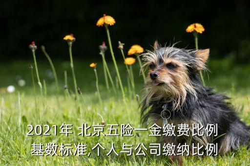 2021年 北京五險一金繳費比例 基數標準,個人與公司繳納比例