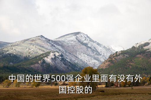 中國的世界500強企業里面有沒有外國控股的