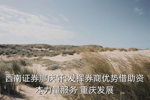 西南證券廖慶軒:發揮券商優勢借助資本力量服務 重慶發展