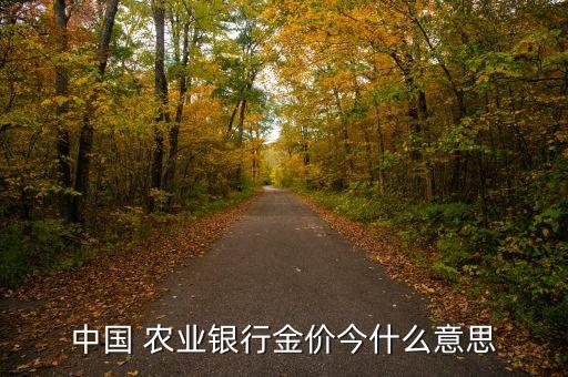 中國 農業銀行金價今什么意思