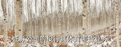 證券公司的投行具體有哪些業務