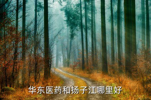 華東醫(yī)藥和揚(yáng)子江哪里好