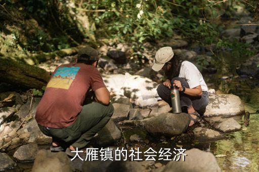 大雁鎮的社會經濟