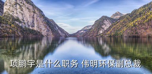 項鵬宇是什么職務 偉明環保副總裁