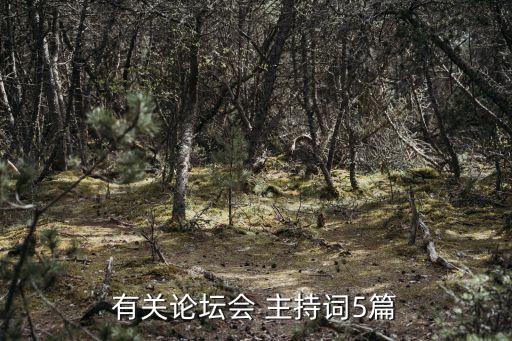 成都張偉財經類主持建設銀行