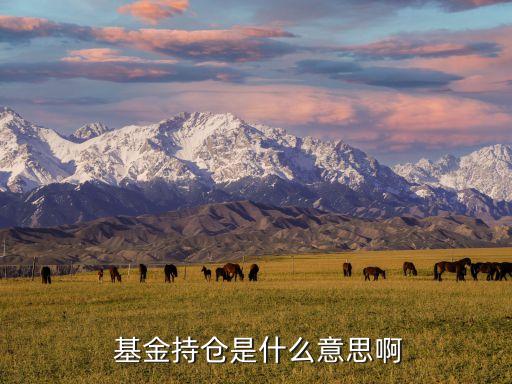  基金持倉是什么意思啊