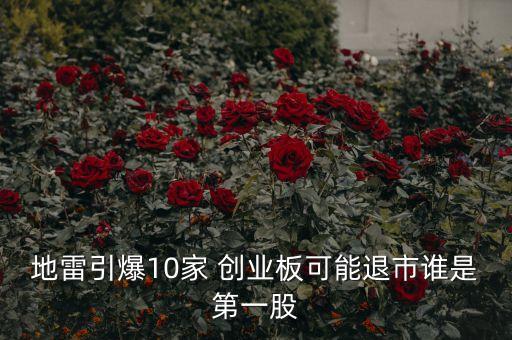 地雷引爆10家 創業板可能退市誰是第一股