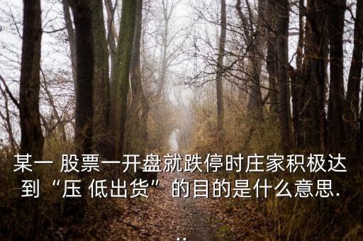 股票低出模式,股票有沒有穩賺模式