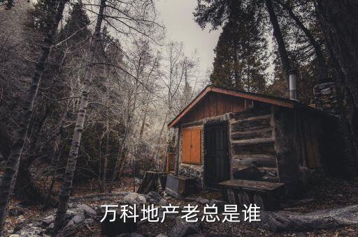 天津萬科興業集團有限公司董事長,天津興業置業集團有限公司