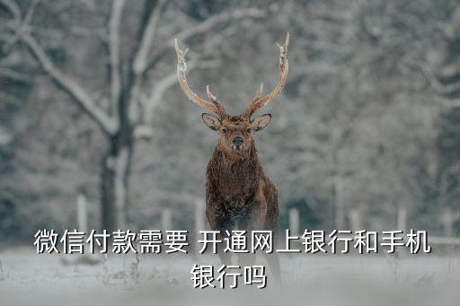  微信付款需要 開通網上銀行和手機銀行嗎