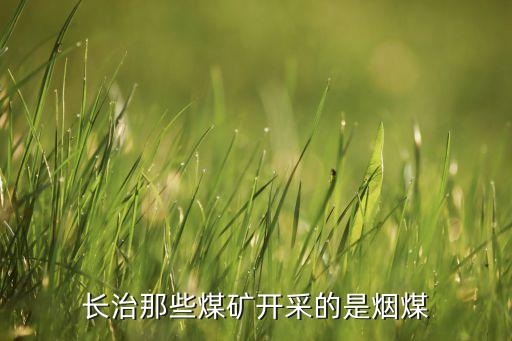 山西潞安礦業集團有限公司五陽電廠