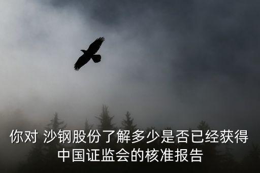 你對 沙鋼股份了解多少是否已經獲得中國證監會的核準報告