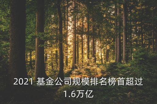 第八屆金牛基金及金牛基金公司獲獎名單