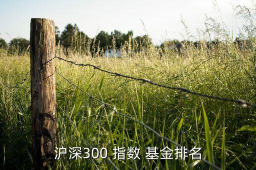 滬深300 指數 基金排名