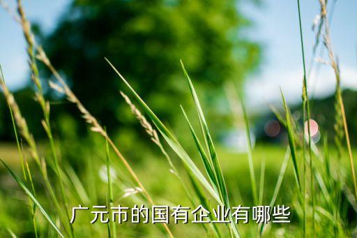  廣元市的國有企業有哪些