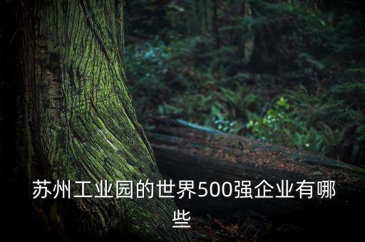  蘇州工業園的世界500強企業有哪些