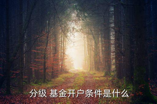 怎樣買分級基金,分級基金a和b的區別