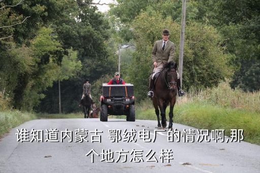 誰知道內蒙古 鄂絨電廠的情況啊,那個地方怎么樣