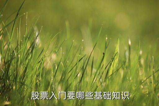 418股票論壇股票教程,股票之聲中國原創股票論壇手機版