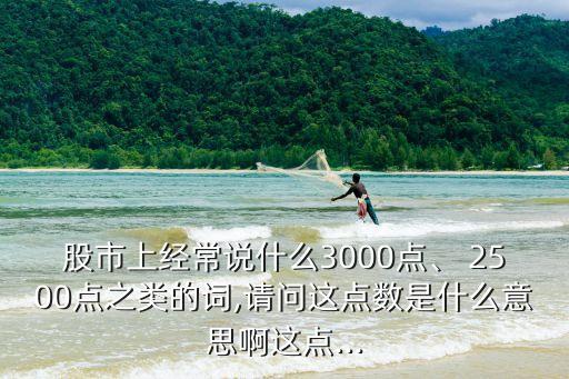 股市上經常說什么3000點、 2500點之類的詞,請問這點數是什么意思啊這點...