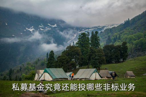  私募基金究竟還能投哪些非標業務
