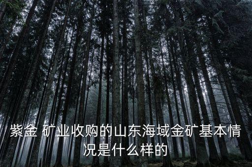紫金 礦業收購的山東海域金礦基本情況是什么樣的