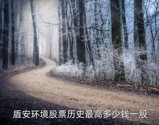  盾安環境股票歷史最高多少錢一股