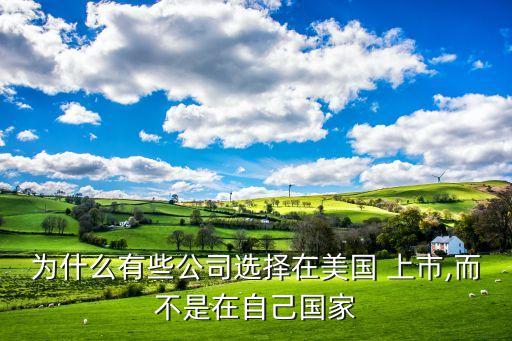 中國企業美國上市