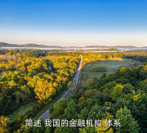 簡述 我國的金融機構 體系