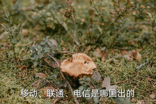 移動、聯通、電信是哪國出的