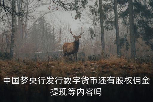 中國夢央行發行數字貨幣還有股權傭金提現等內容嗎
